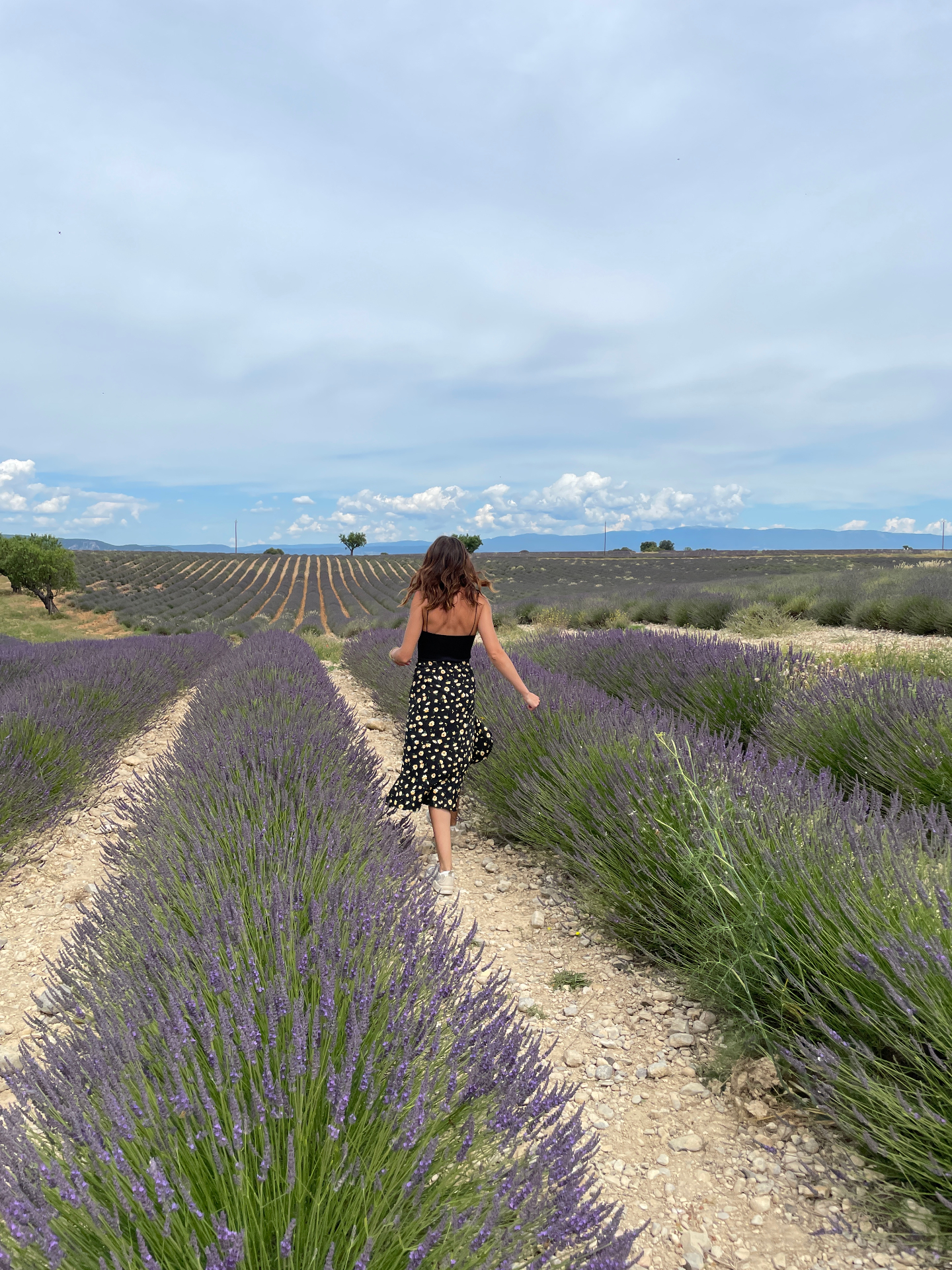 Professional Retreats